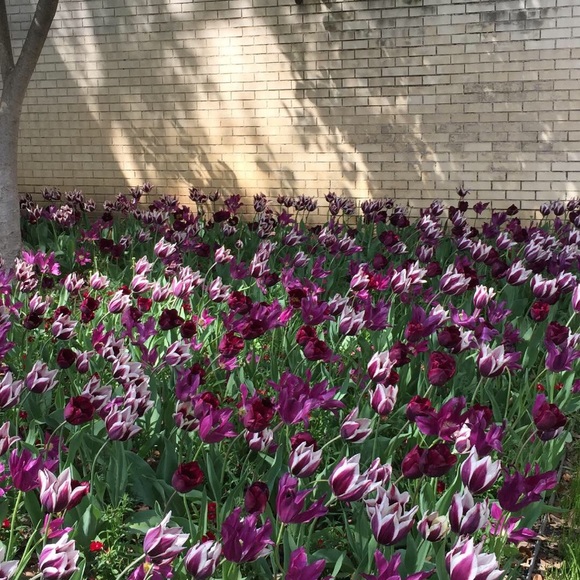 Meet your Posher, B - Picture 1 of 1